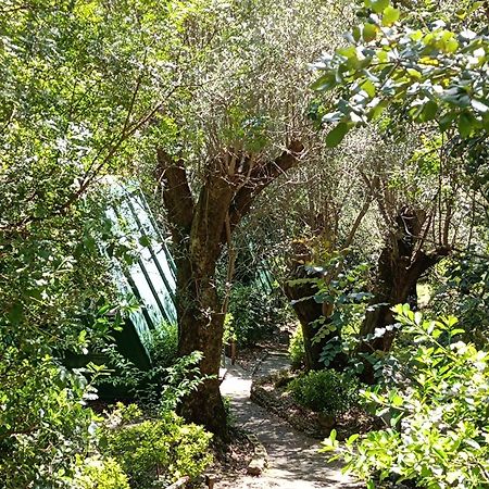 La Francesca Sud Un Villaggio"Glamping" Scario Εξωτερικό φωτογραφία